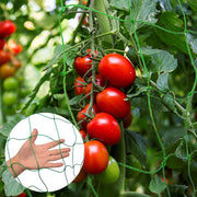 1.8x5m Gartenpflanzen-Kletternetz-Set Tomatenrebe Wachstum Groß-Gitter